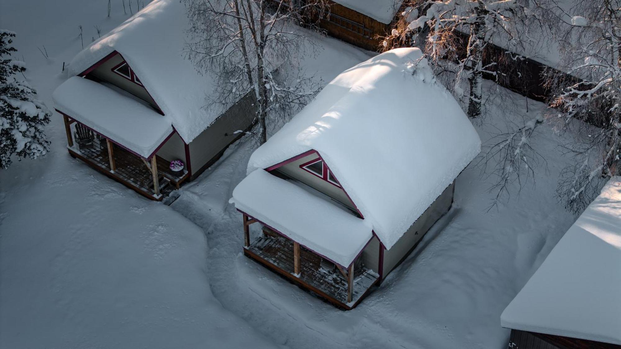 Downtown Talkeetna Cabin! Susitna Cabin Extérieur photo